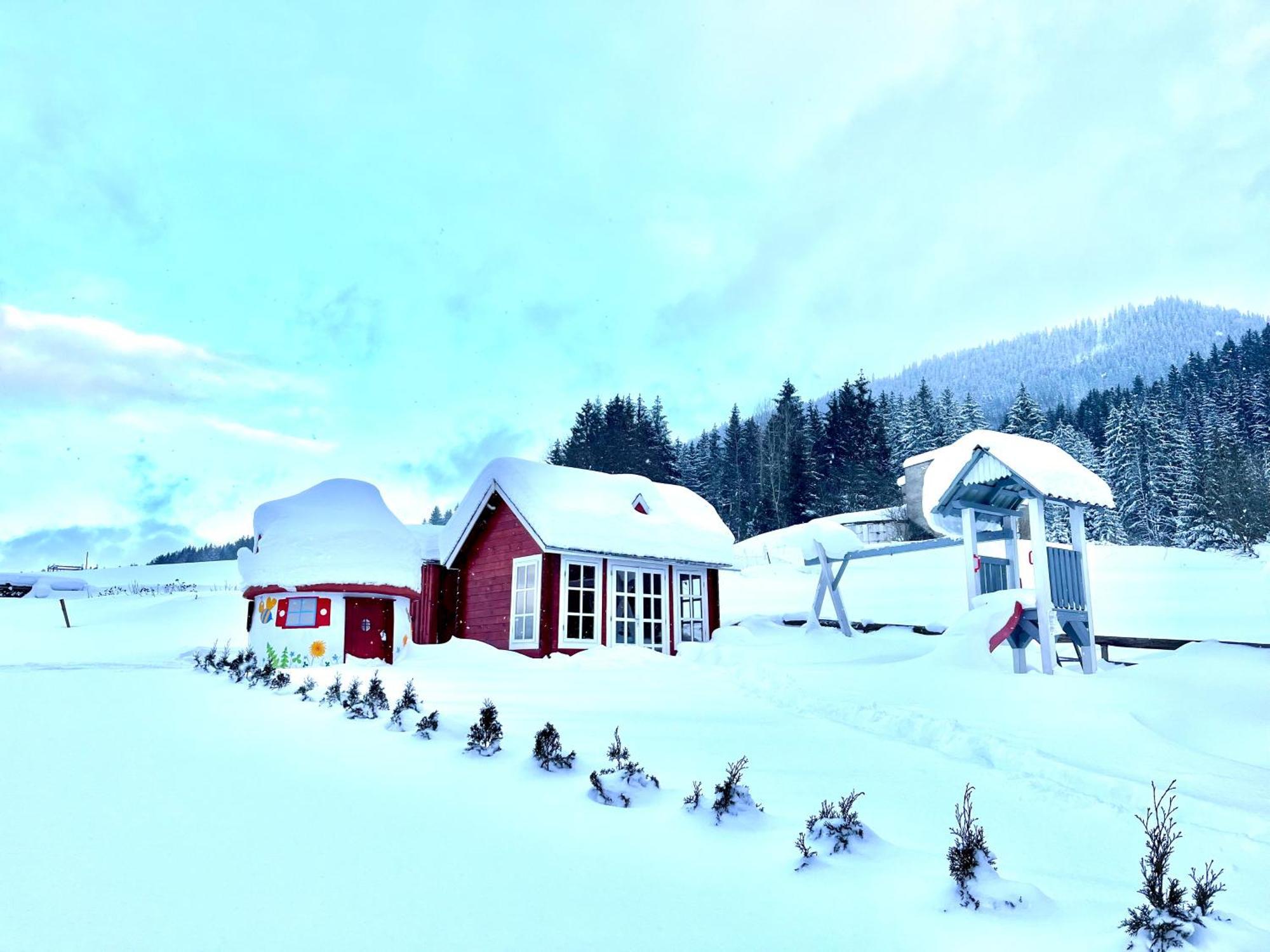 Arctic House Lejlighed Dolny Kubin Eksteriør billede
